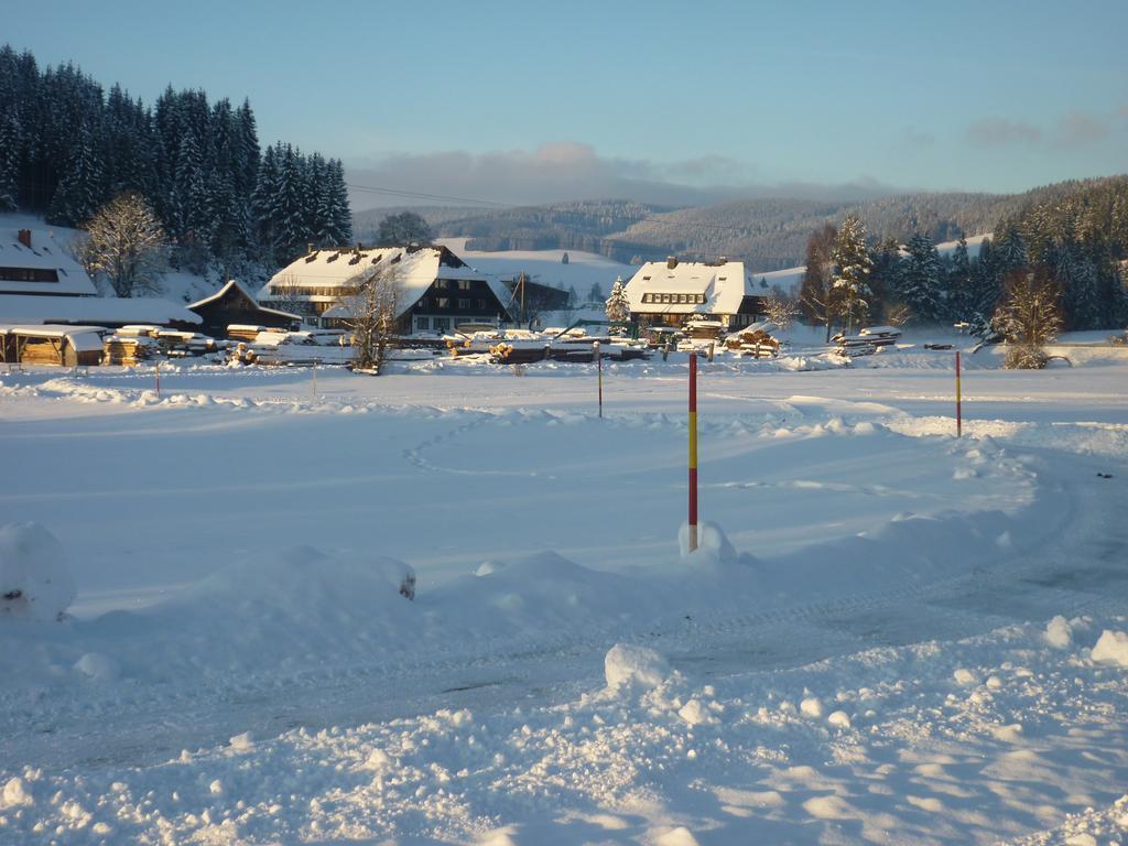 Hotel Zum Loewen - Unteres Wirtshaus Titisee-Neustadt Exterior photo