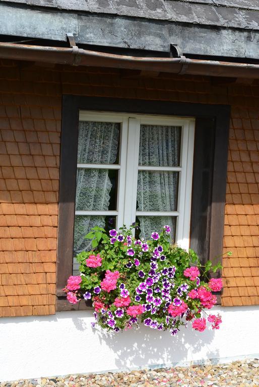 Hotel Zum Loewen - Unteres Wirtshaus Titisee-Neustadt Exterior photo